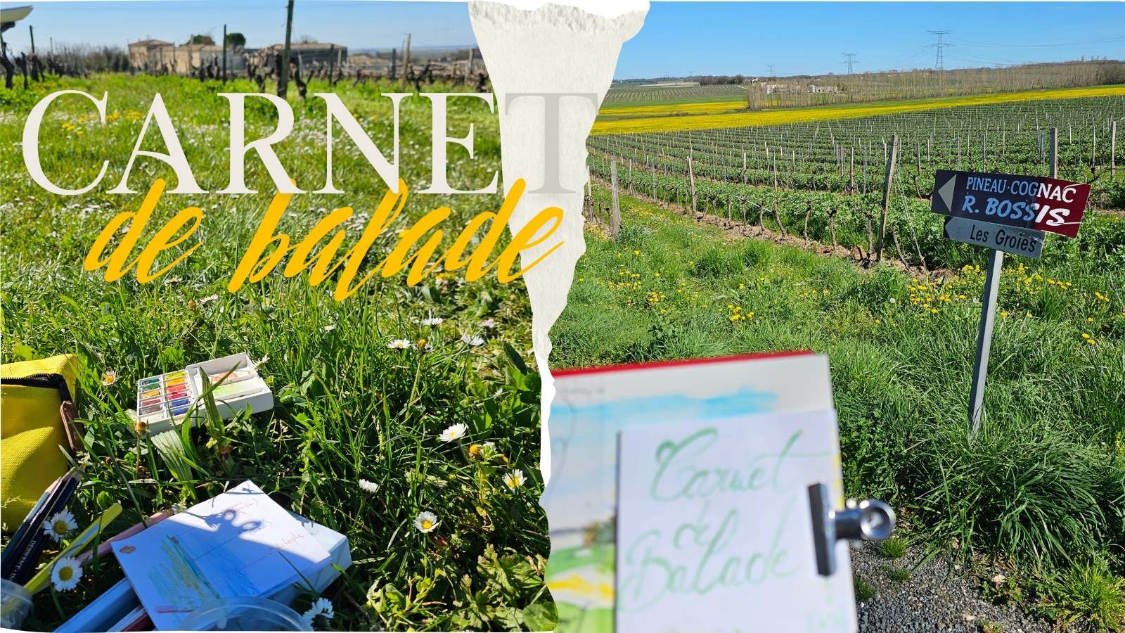 Carnet de balade dans les vignes AVEC